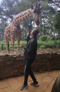 Giraffe Centre one of the best places to visit in Nairobi for couples